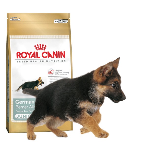 Royal Canin Щенок Немецкая овчарка Royal Canin German Shepherd Junior (Немецкая овчарка до 15 месяцев)